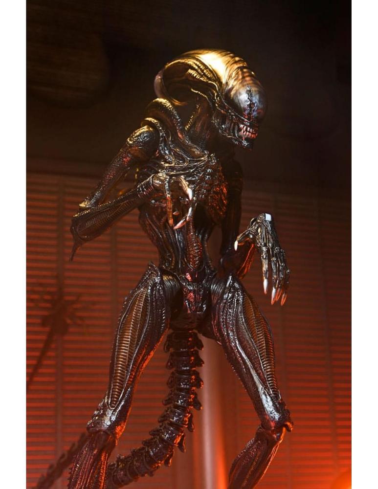 Ultimate scorched xenomorph scale action fig.