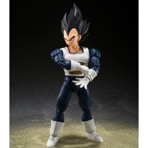 Vegeta - old battle clothes -  fig. 14
